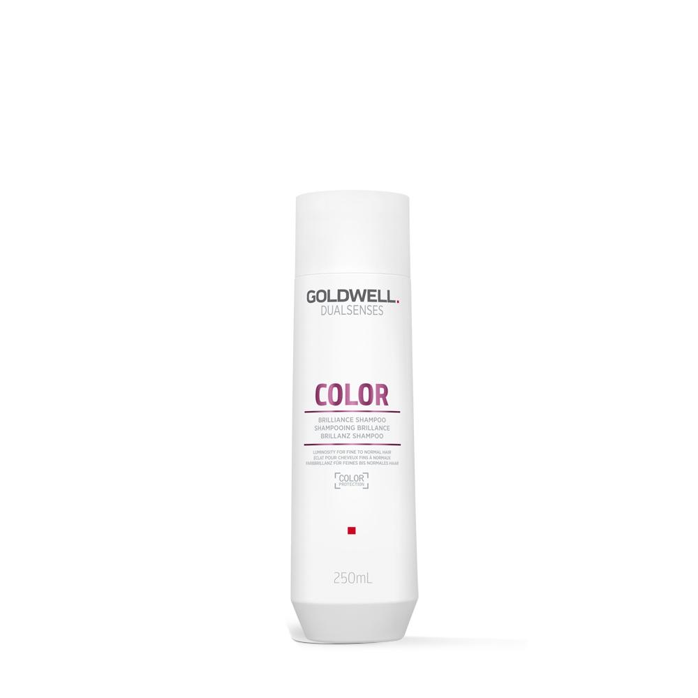 Dualsenses Color Brilliance Shampoo 250ml Goldwell